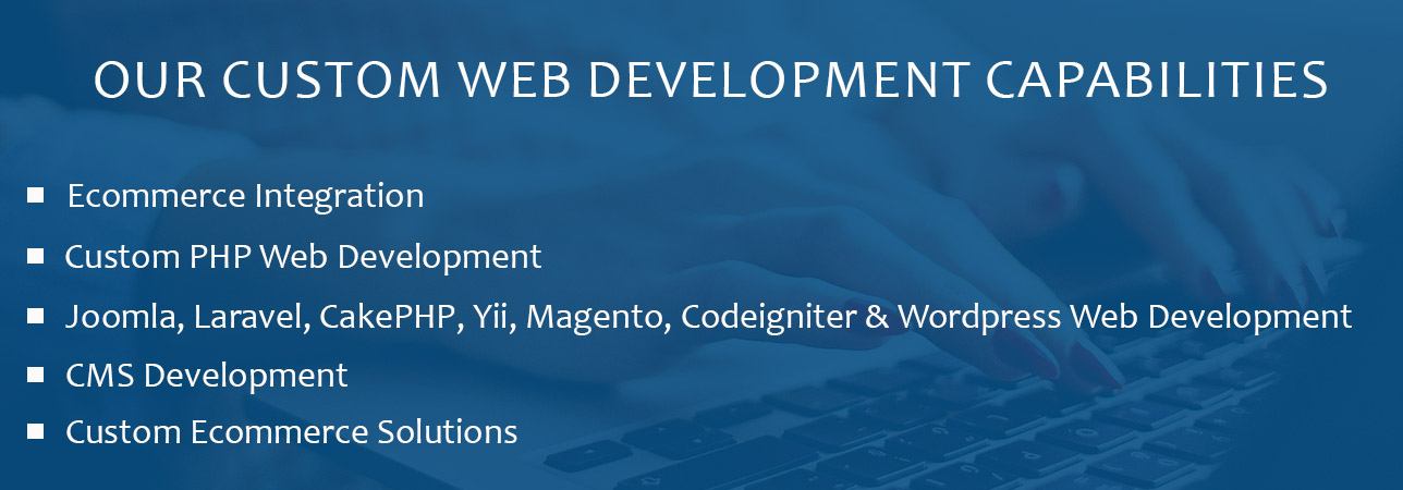 Custom website development