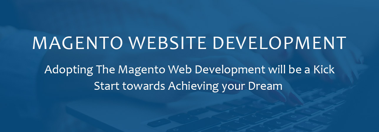 마 젠토 웹 사이트 개발